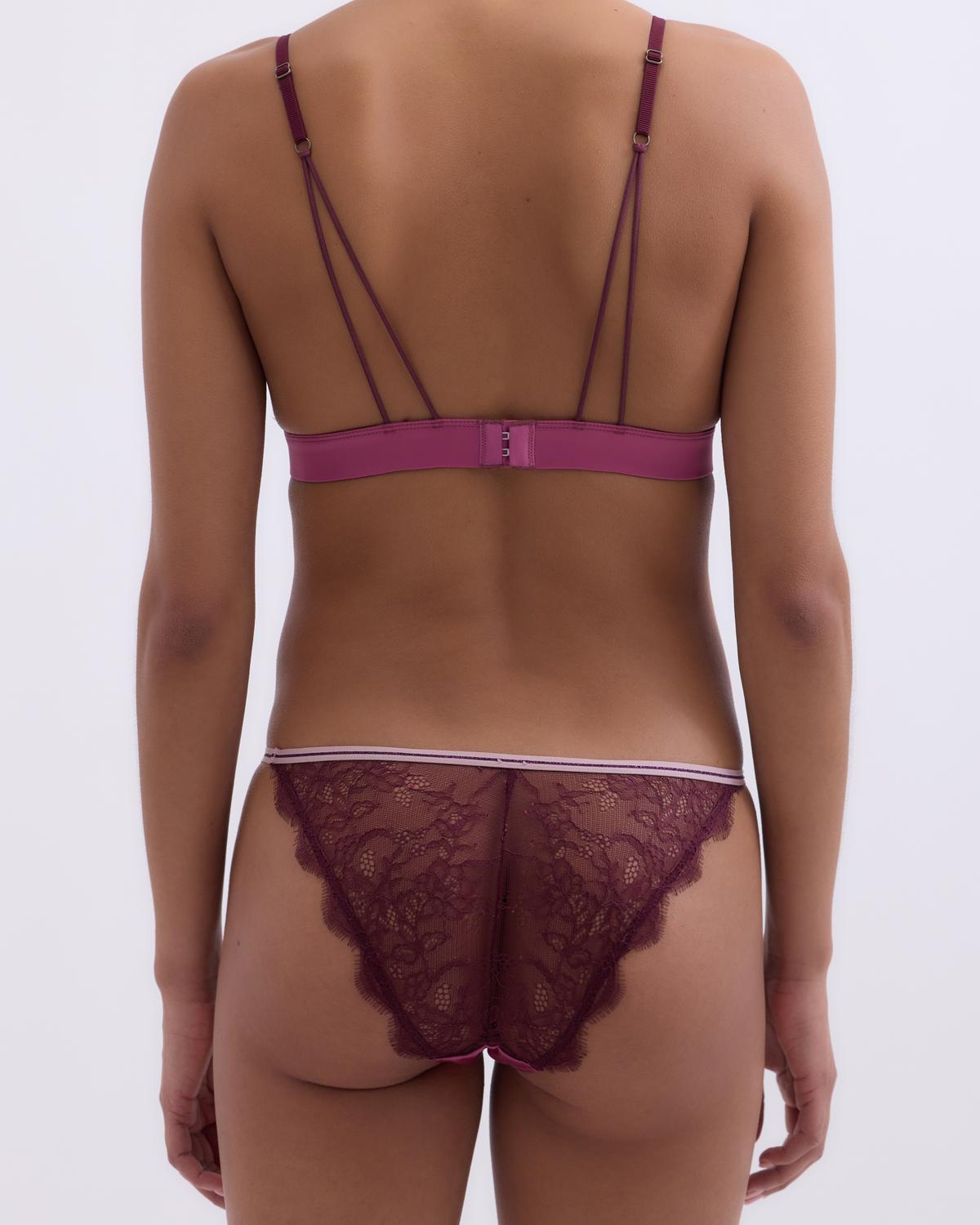 Love Stories Wild Rose