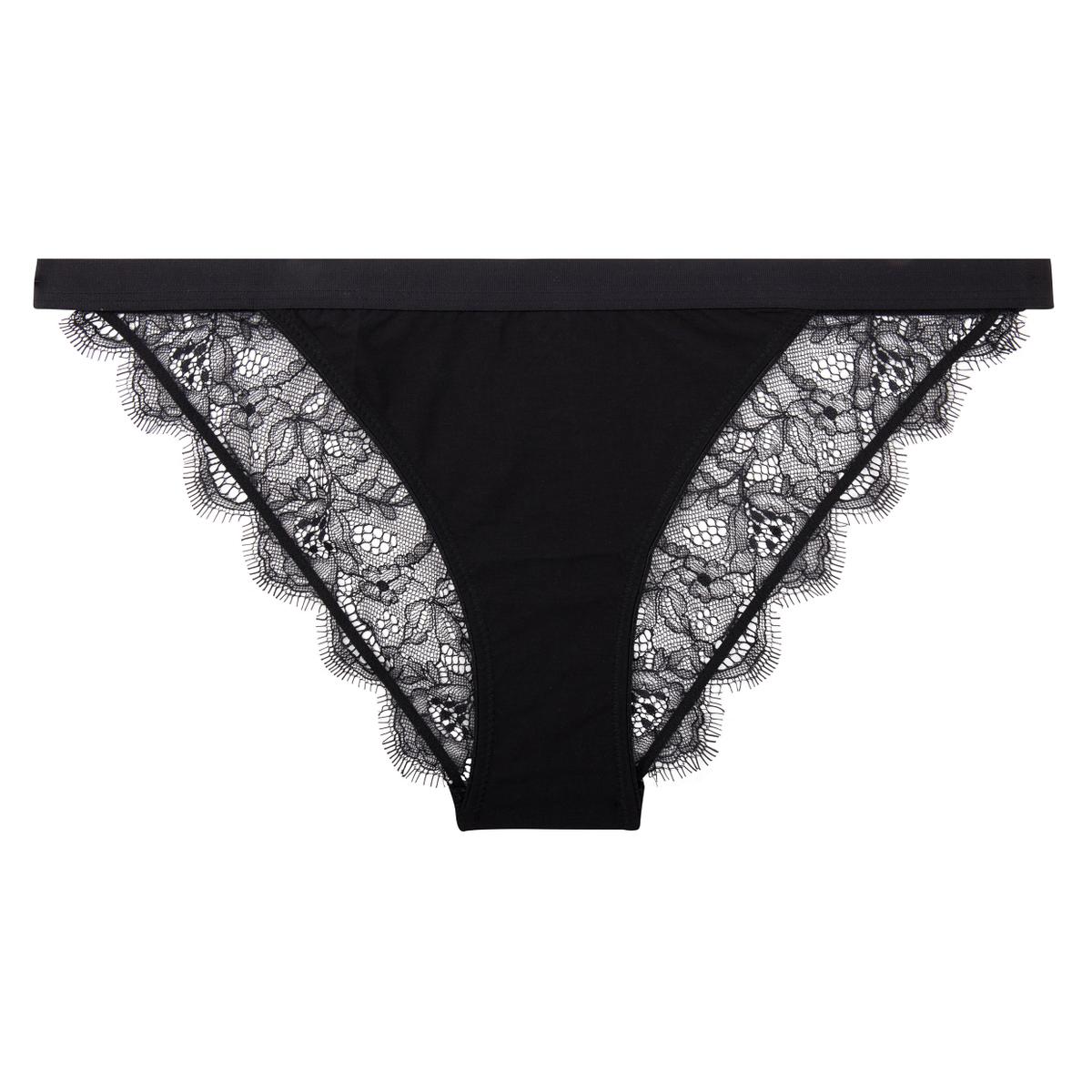 Love Stories Wild Rose