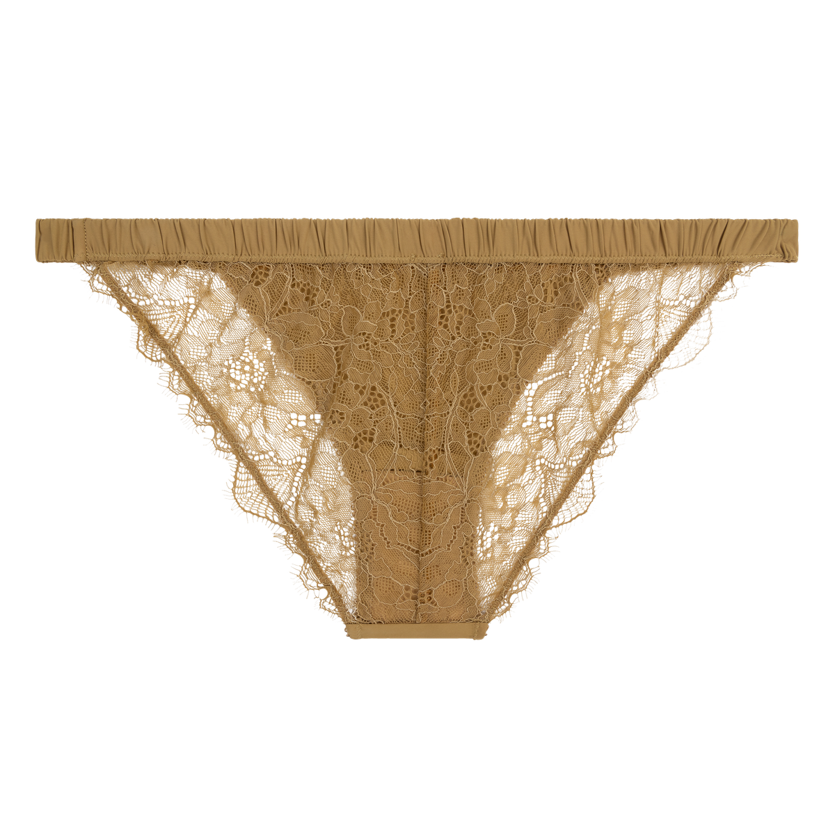 Love Stories Wild Rose