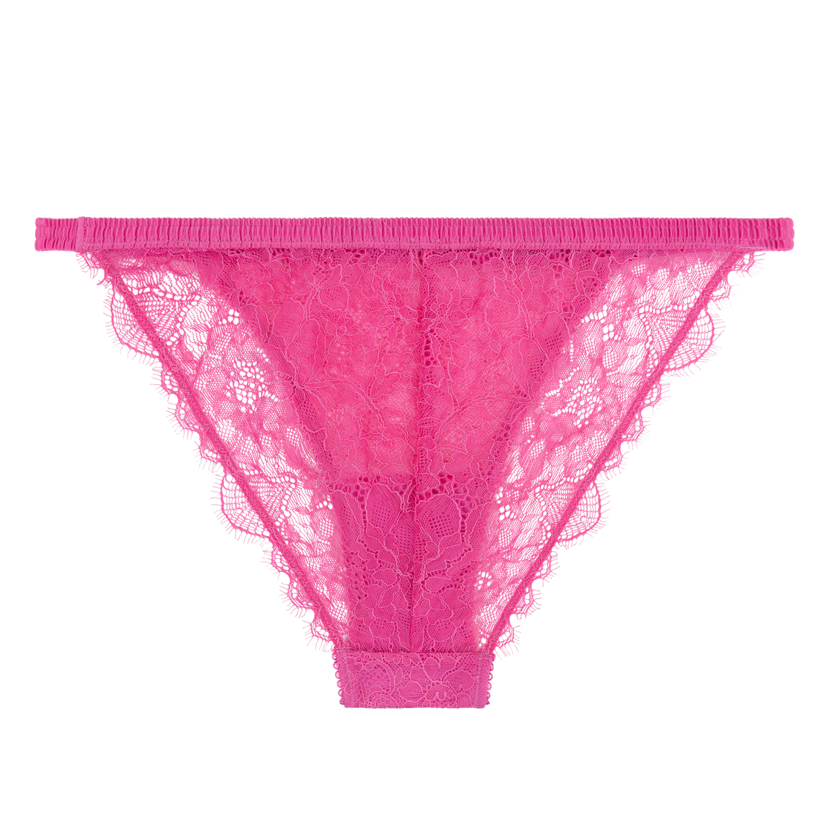 Love Stories Wild Rose