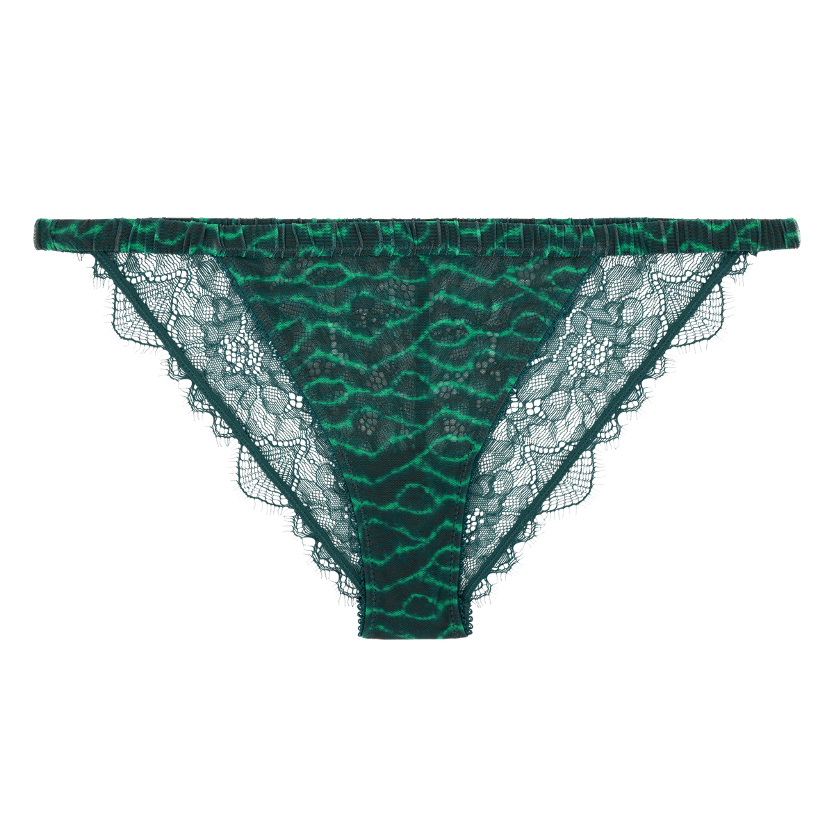 Love Stories Wild Rose