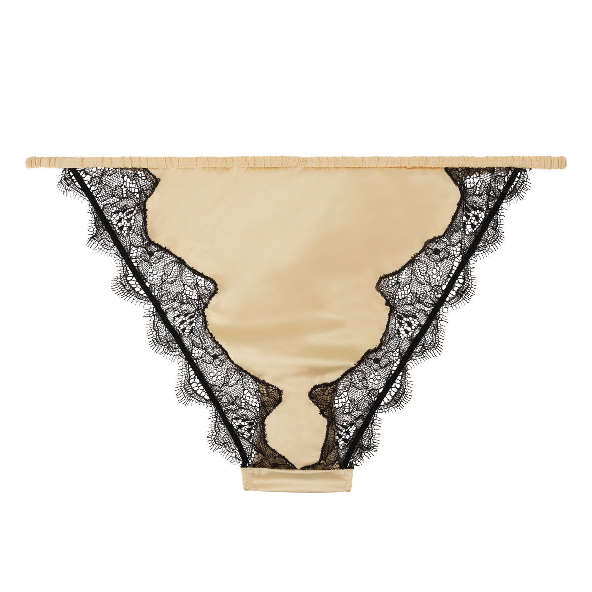 Love Stories Night Rose