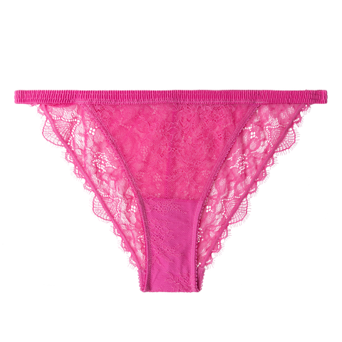 Love Stories Wild Rose
