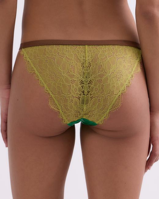 Love Stories Wild Rose