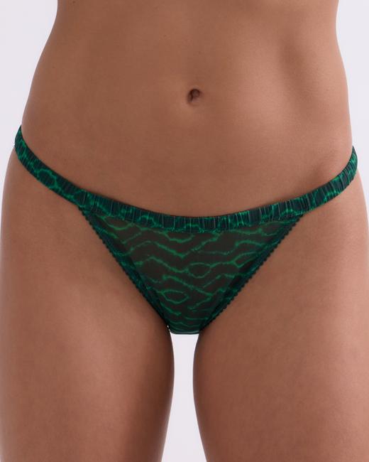 Love Stories Wild Rose